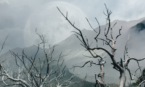 Acima das Nuvens, a 2025 Metros